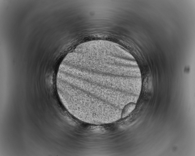 X0000098220424200805151322