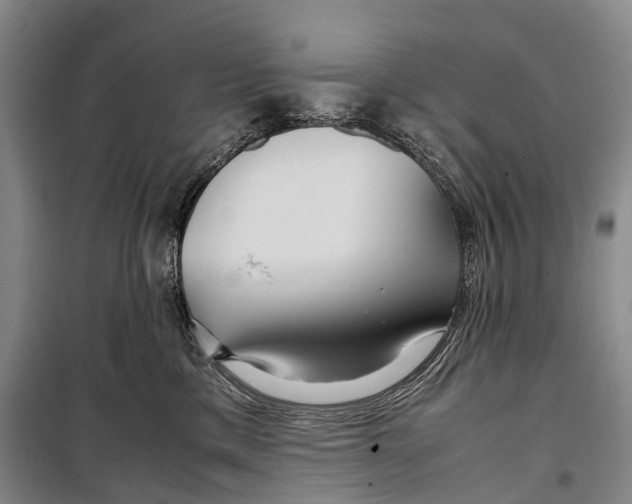 X0000098220425200805151322