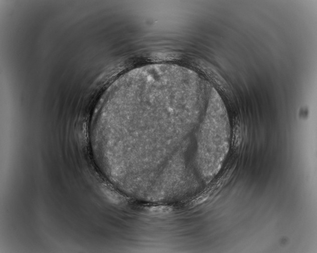 X0000098220426200805151322