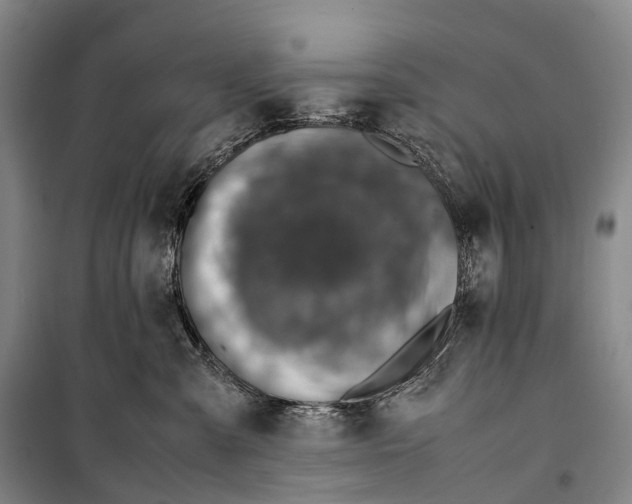 X0000098220427200805151322