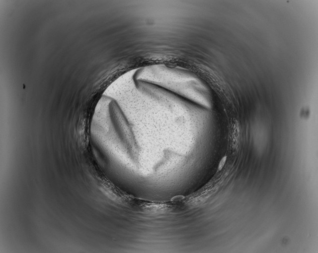 X0000098220428200805151321