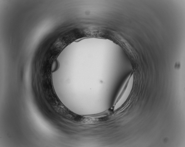 X0000098220429200805151321