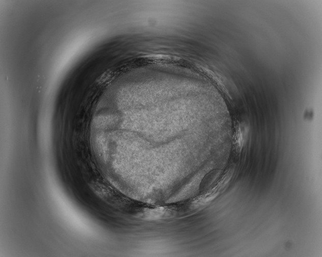 X0000098220430200805151321