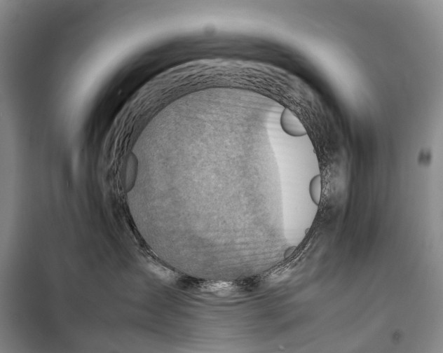 X0000098220431200805151321