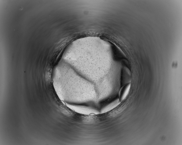 X0000098220432200805151321