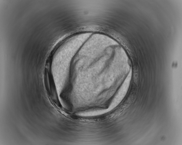 X0000098220434200805151321