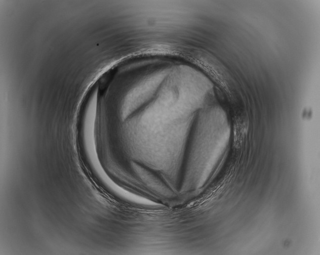 X0000098220436200805151321