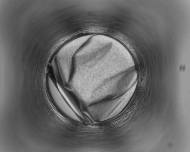 X0000098220437200805151321