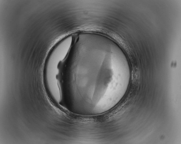 X0000098220438200805151321