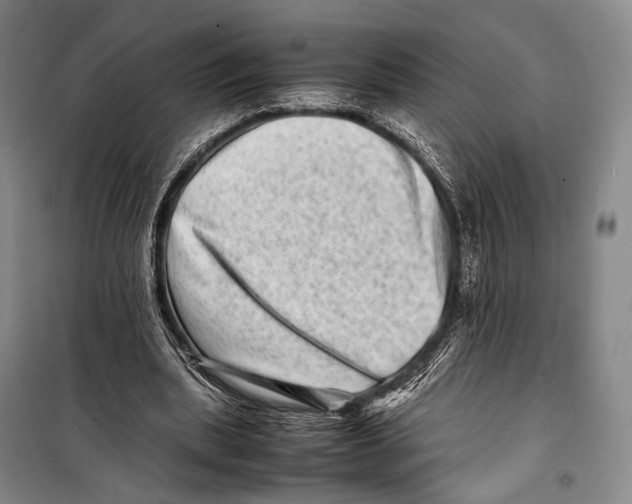 X0000098220439200805151321