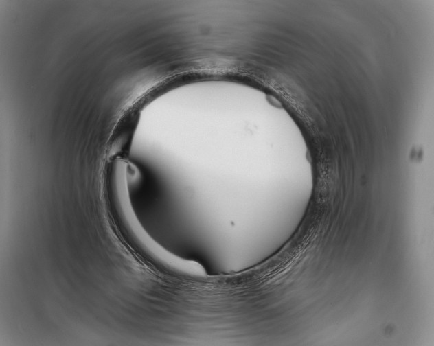 X0000098220440200805151321