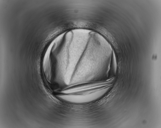 X0000098220442200805151321