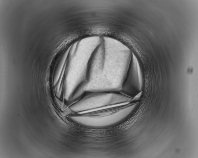 X0000098220443200805151321