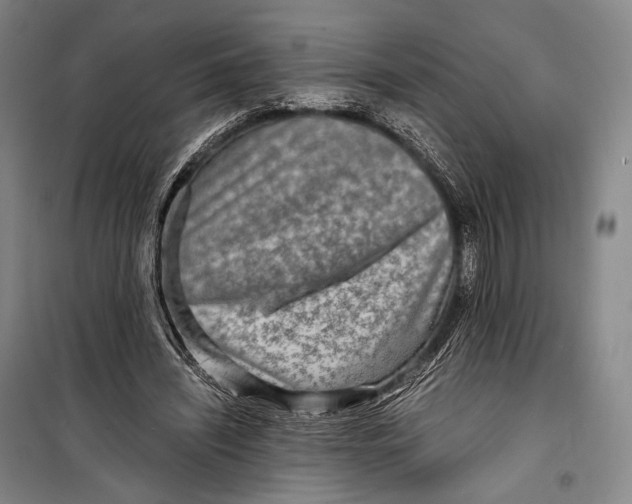 X0000098220444200805151321