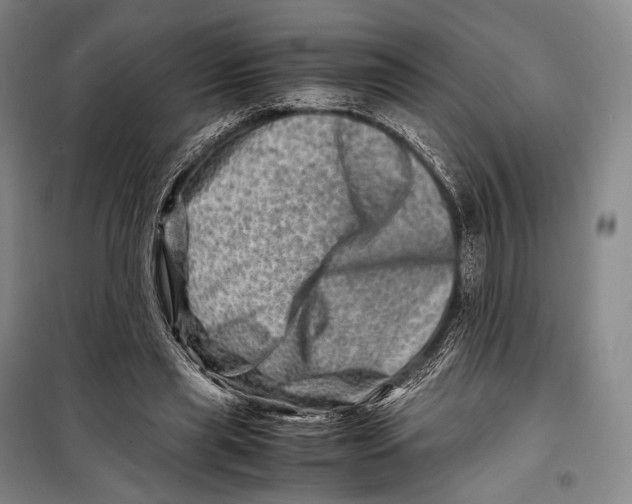 X0000098220445200805151321