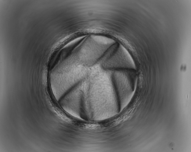 X0000098220446200805151321