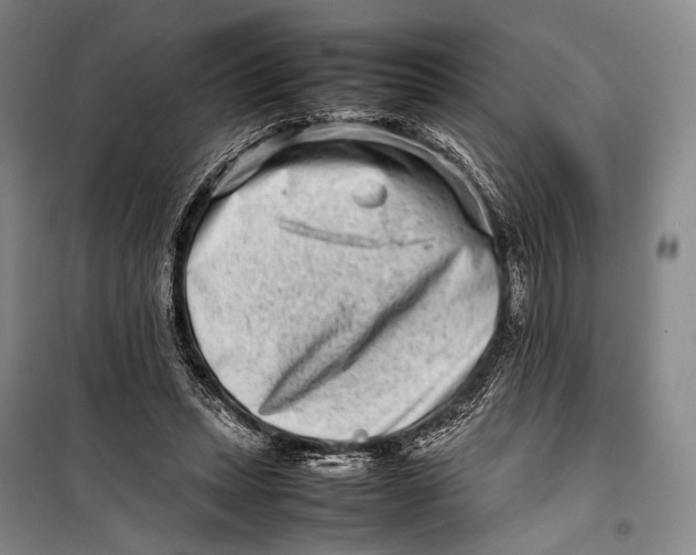 X0000098220447200805151321