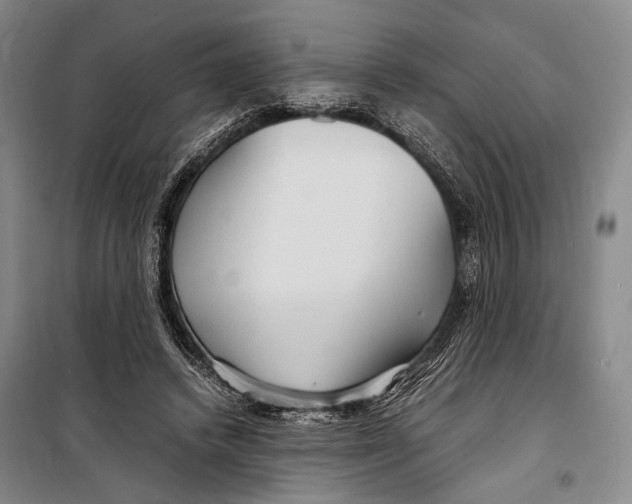 X0000098220448200805151321