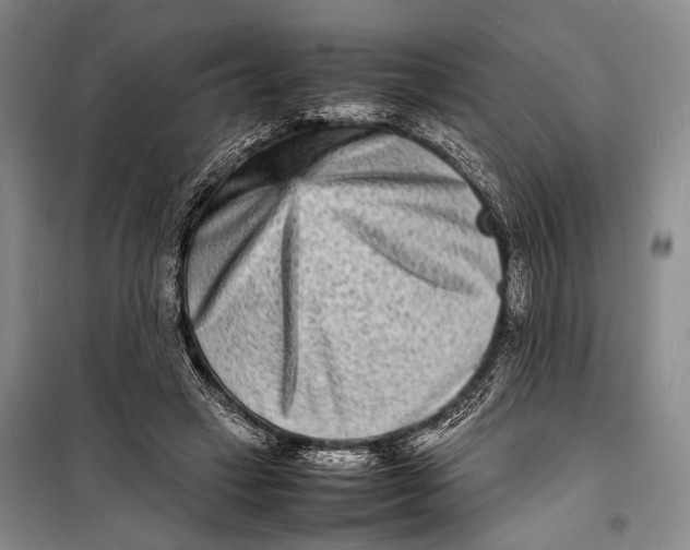 X0000098220449200805151321