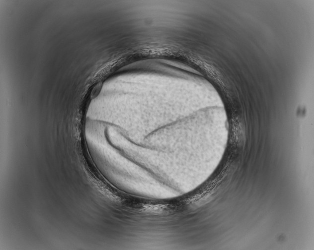 X0000098220450200805151321