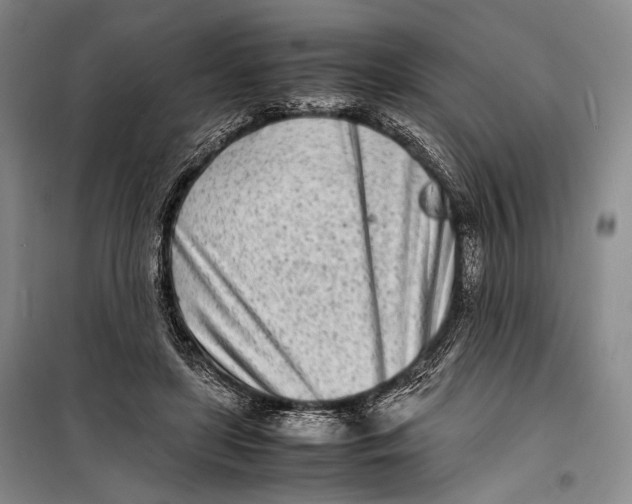 X0000098220451200805151321