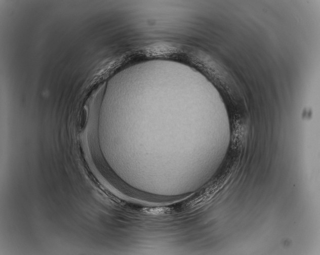 X0000098220452200805151321