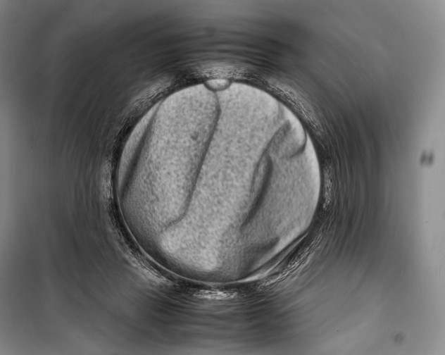 X0000098220453200805151321