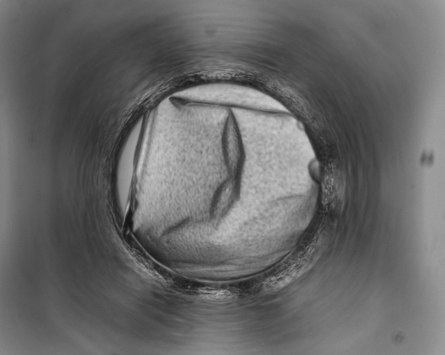 X0000098220454200805151321