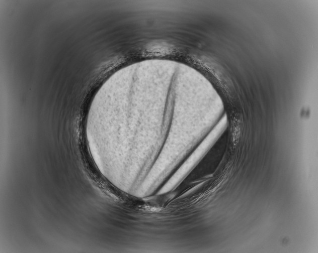 X0000098220455200805151321