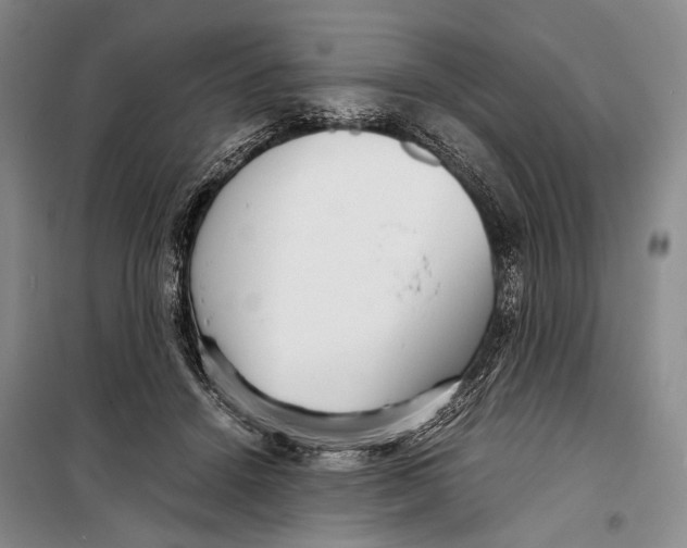 X0000098220456200805151321