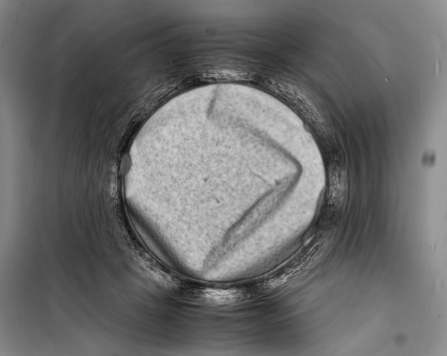 X0000098220457200805151321