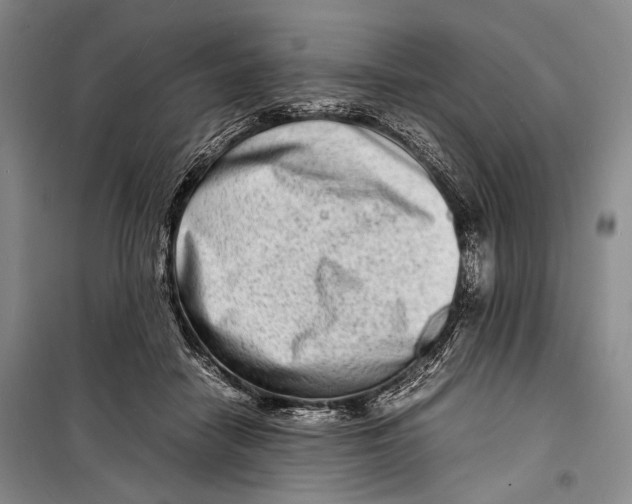 X0000098220458200805151321