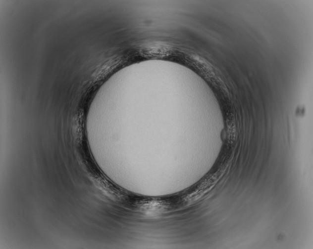 X0000098220460200805151321