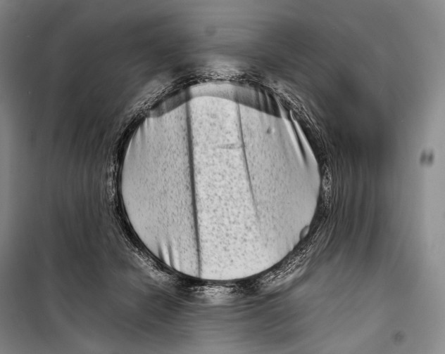 X0000098220462200805151321