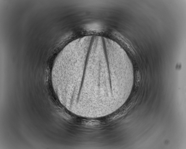 X0000098220463200805151321