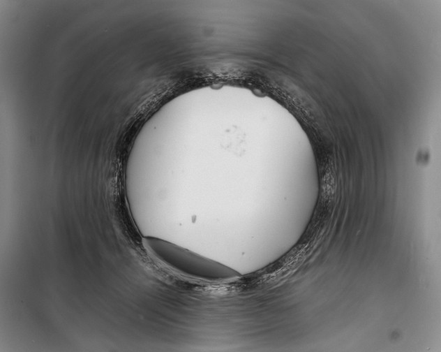 X0000098220464200805151321