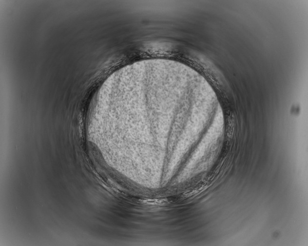 X0000098220465200805151321