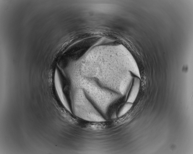 X0000098220466200805151321