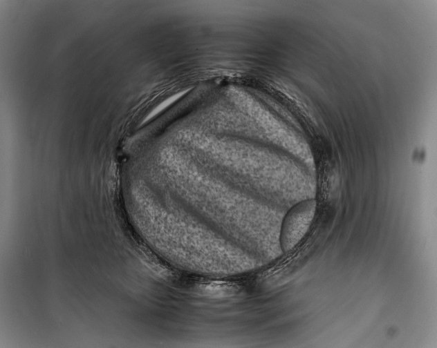 X0000098220467200805151321