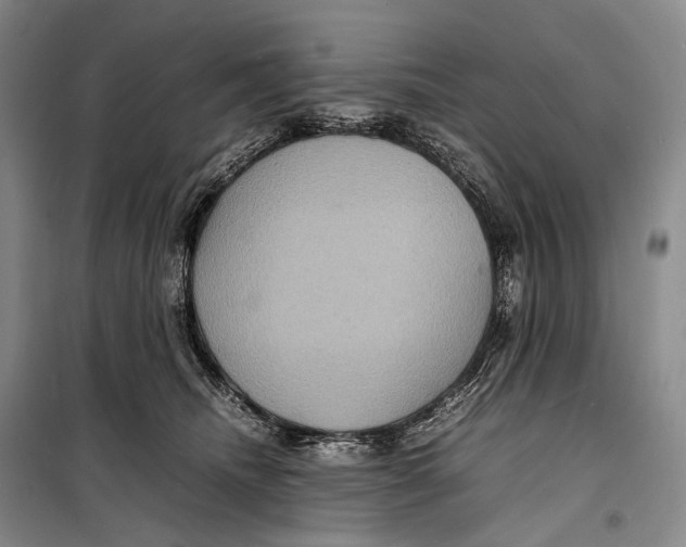 X0000098220468200805151321