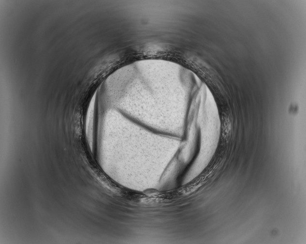 X0000098220470200805151321