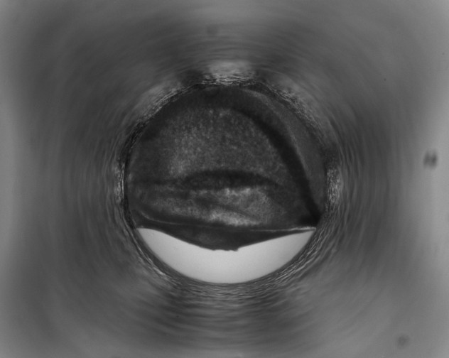 X0000098220471200805151321