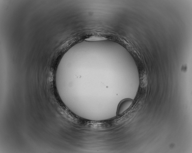 X0000098220472200805151321