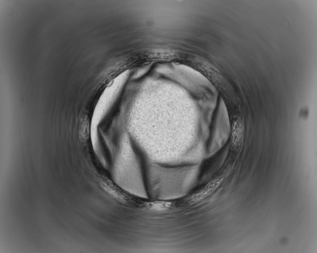 X0000098220474200805151321