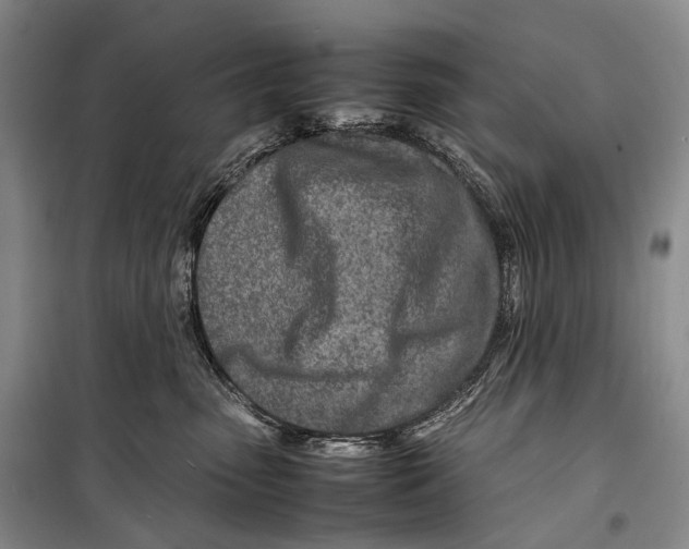 X0000098220475200805151321