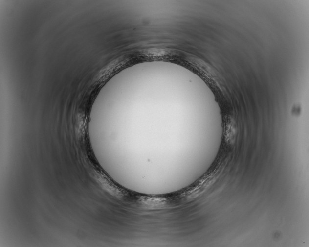 X0000098220476200805151321