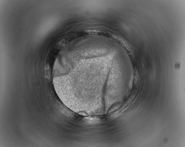 X0000098220477200805151321