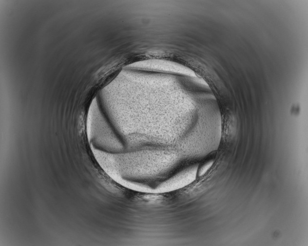 X0000098220478200805151321