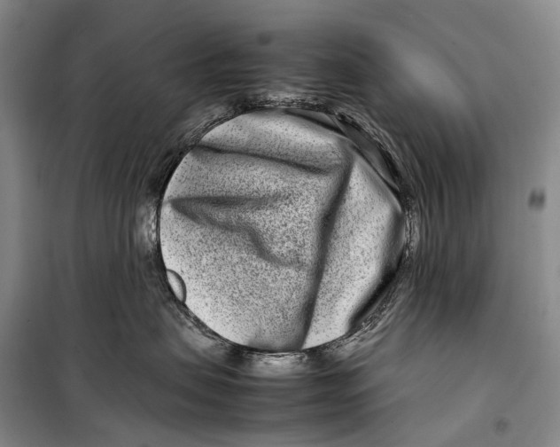 X0000098220479200805151321