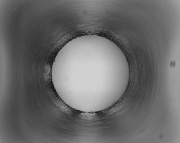 X0000098220480200805151321